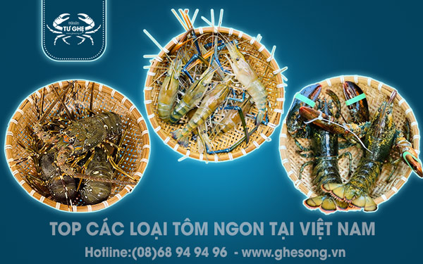 Top 10 loại tôm ngon tại Việt Nam bạn không thể bỏ lỡ