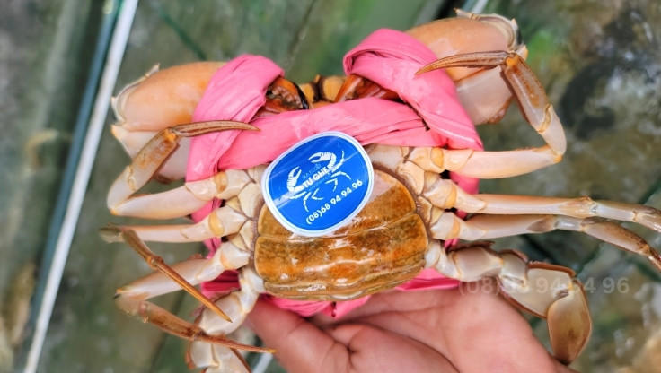 top-cua-bien-ca-mau-2025