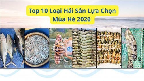 Top 10 Loại Hải Sản Lựa Chọn Mùa Hè 2026 