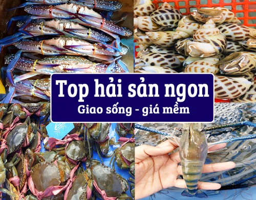 Hải sản ghẹ sống tại Tân Bình - Chọn mua hải sản ngon