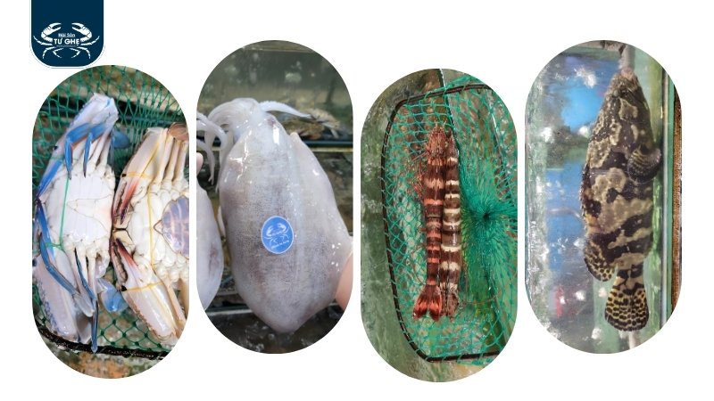 top-hai-san-tuoi-song-viet-nam top-hai-san-tuoi-song-viet-nam