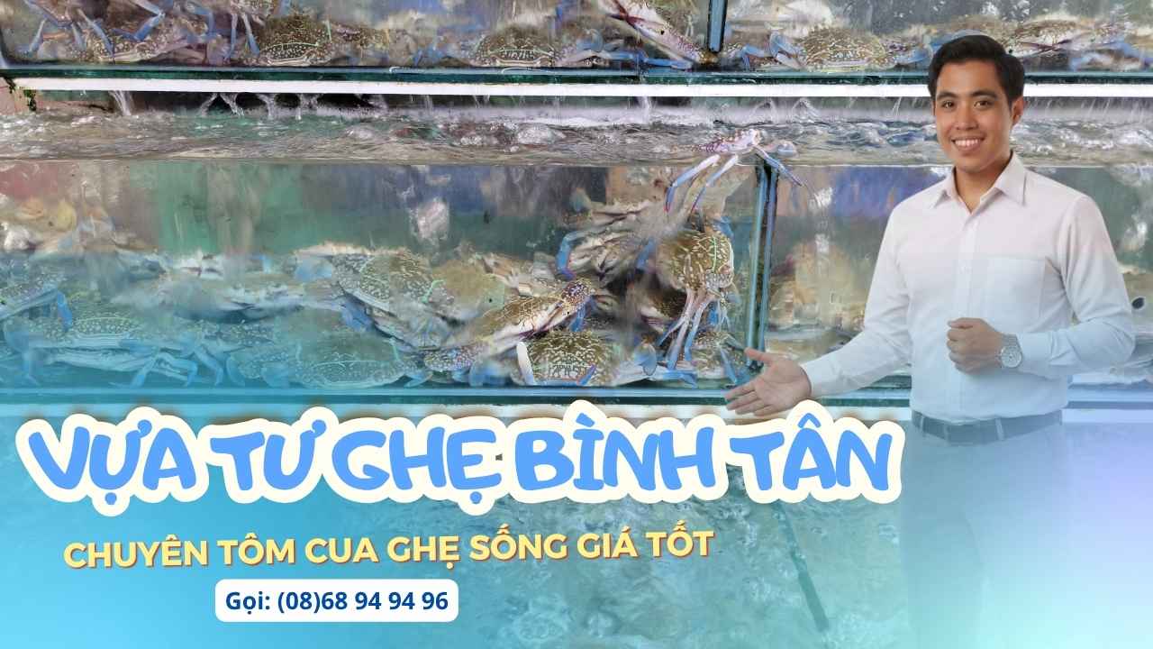 vua-hai-san-binh-tan